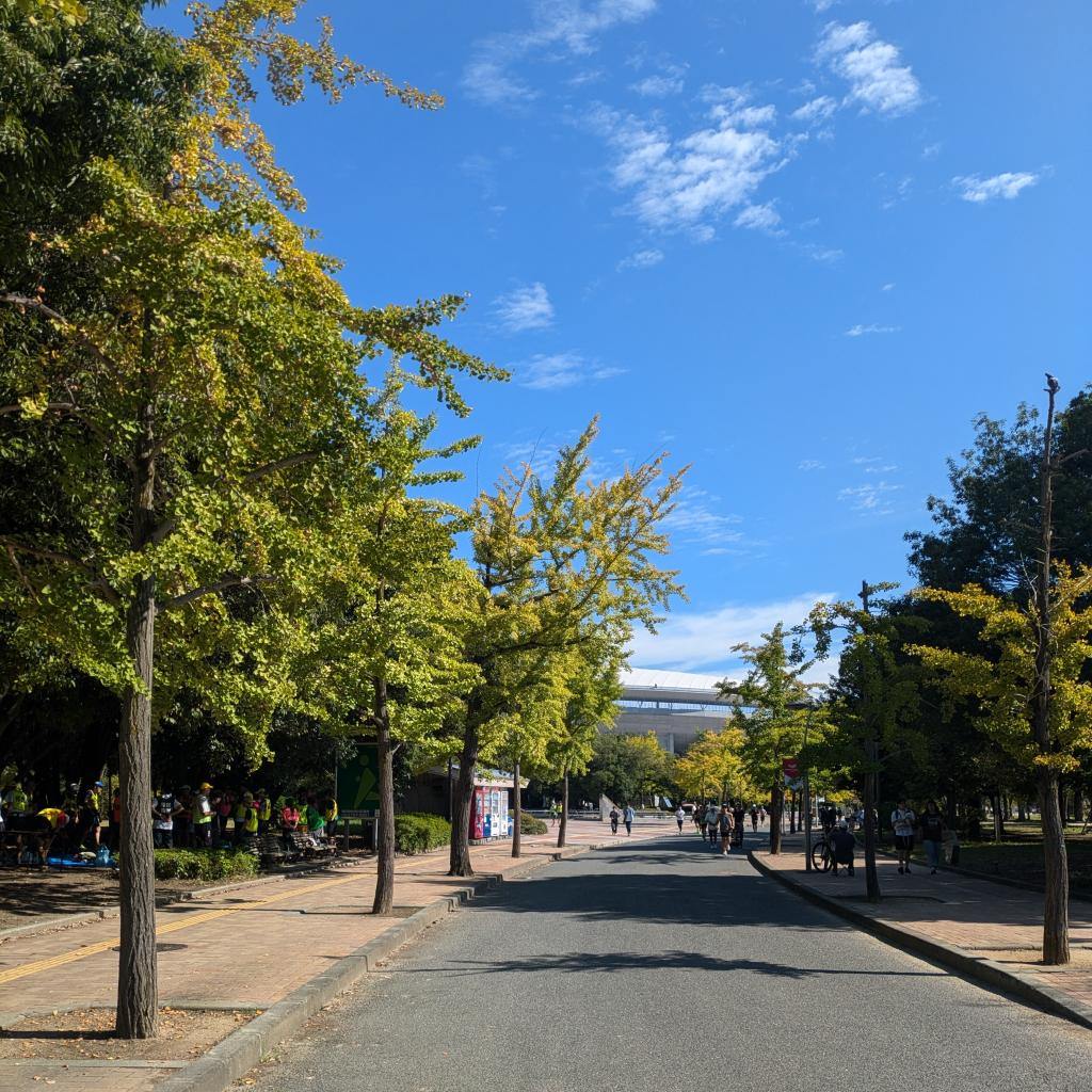 周回路のみをシンプルに撮影。澄んだ青い空、色づき始めたイチョウの樹、路面に樹々の濃い影をつける強い日差し。